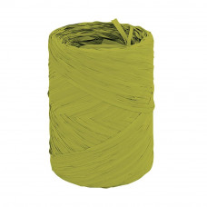 Fita de Presente 12,5mmx100m Verde Un.